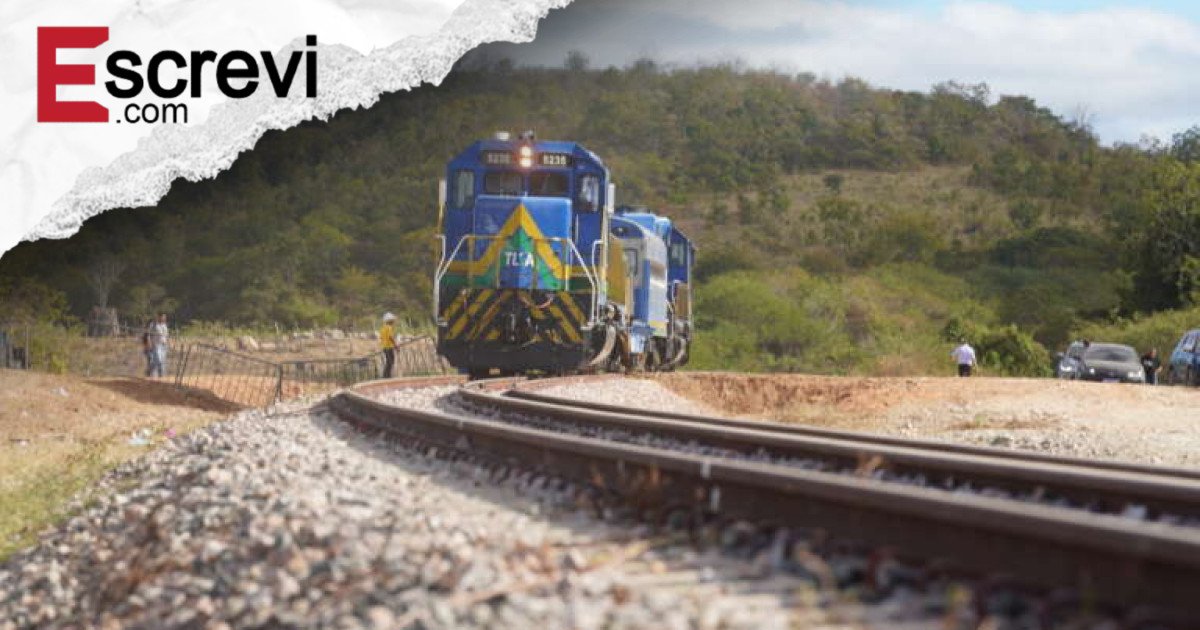 Com 81% da fase 1 executada, Transnordestina já transporta cargas imagem principal