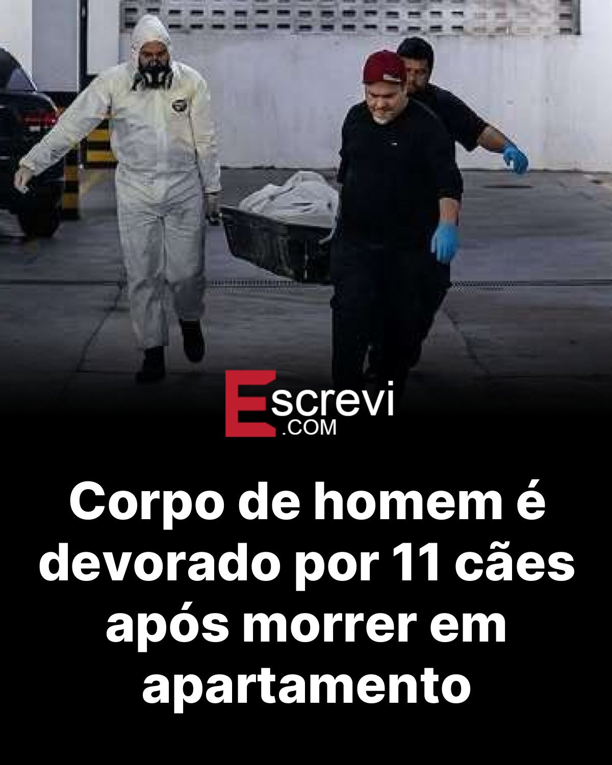 Corpo de homem é devorado por 11 cães após morrer em apartamento card preto