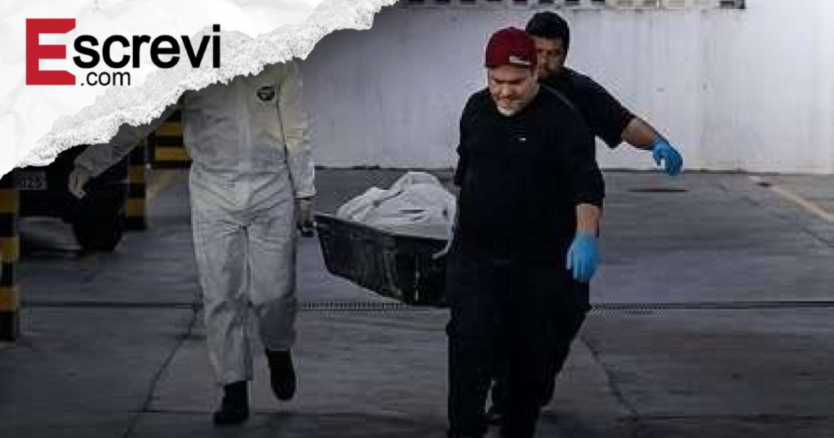 Corpo de homem é devorado por 11 cães após morrer em apartamento imagem principal