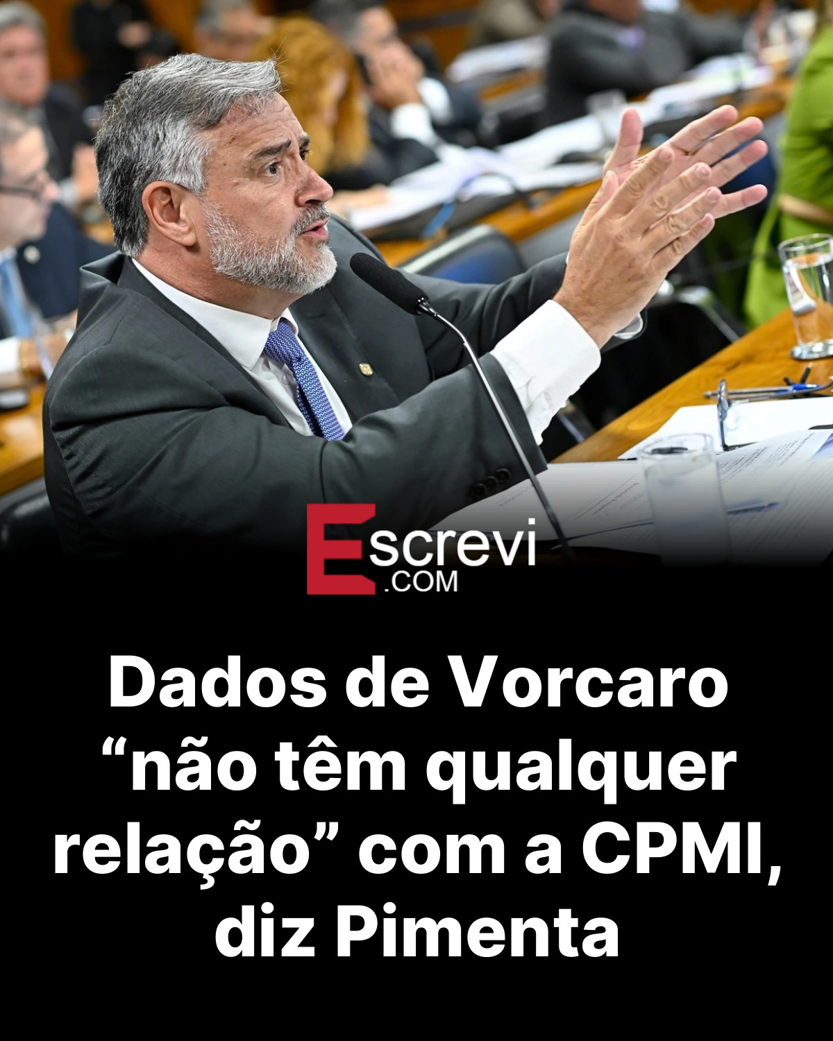 Dados de Vorcaro “não têm qualquer relação” com a CPMI, diz Pimenta card preto