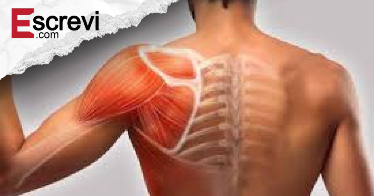 Dor no ombro à noite: possíveis razões que muitas pessoas ignoram imagem principal