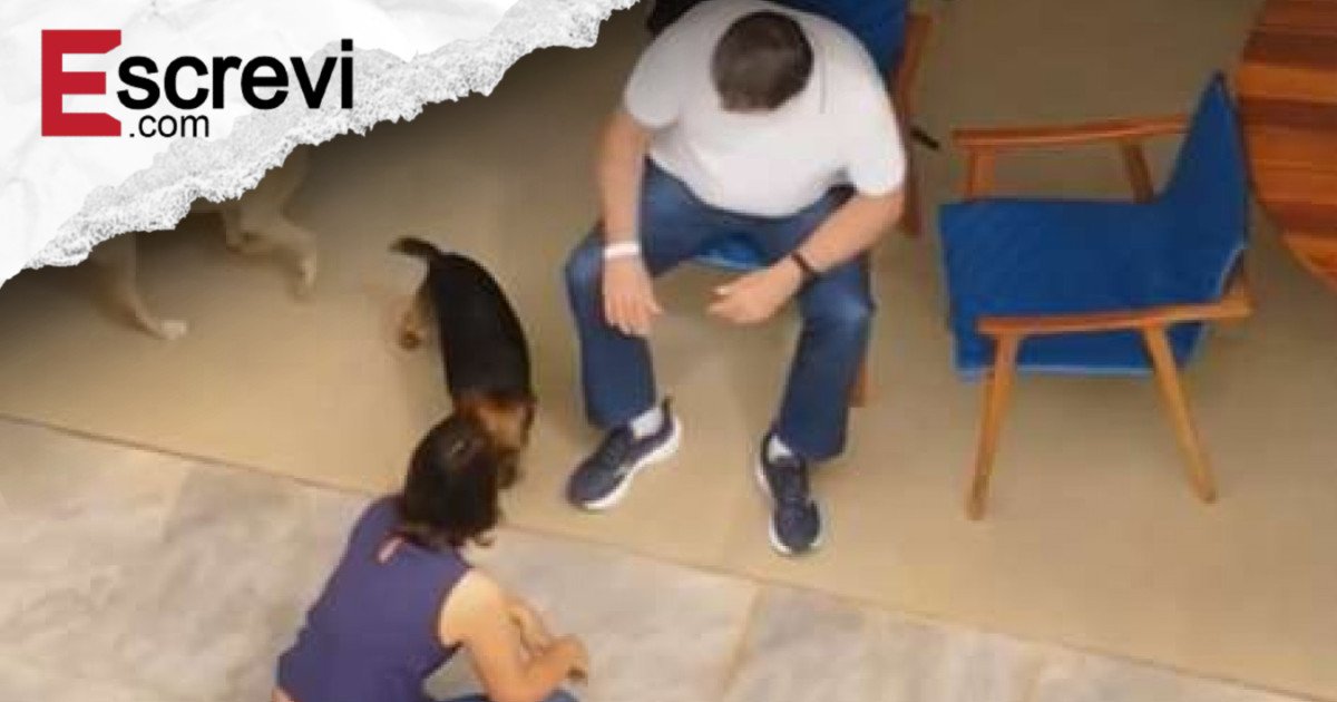 Drone sobrevoa casa de Bolsonaro e mostra as primeiras imagens do ex-presidente em prisão domiciliar imagem principal