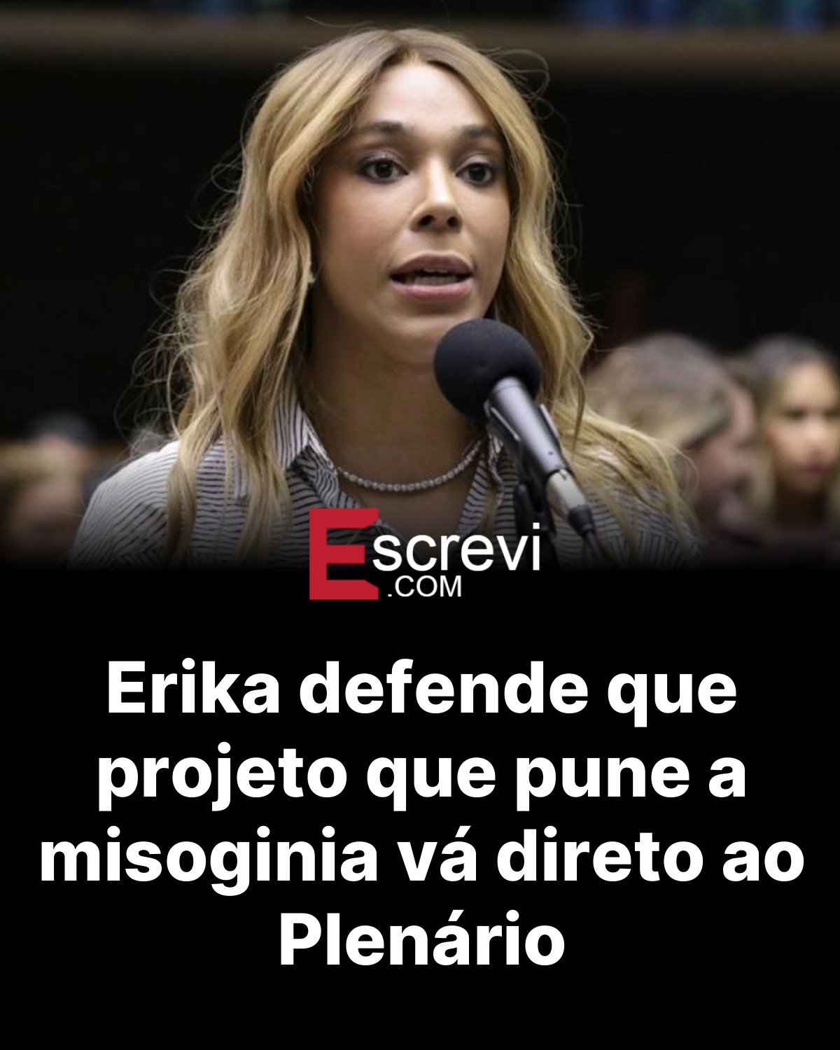 Erika defende que projeto que pune a misoginia vá direto ao Plenário card preto
