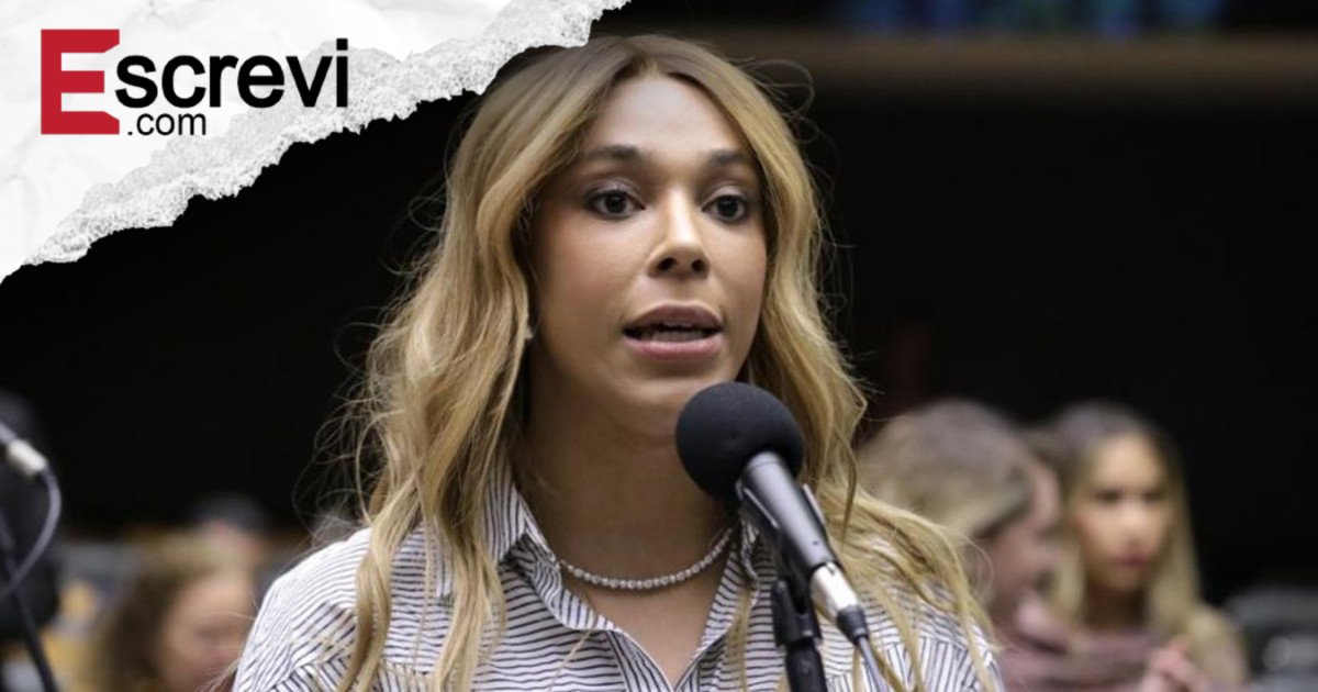 Erika defende que projeto que pune a misoginia vá direto ao Plenário imagem principal