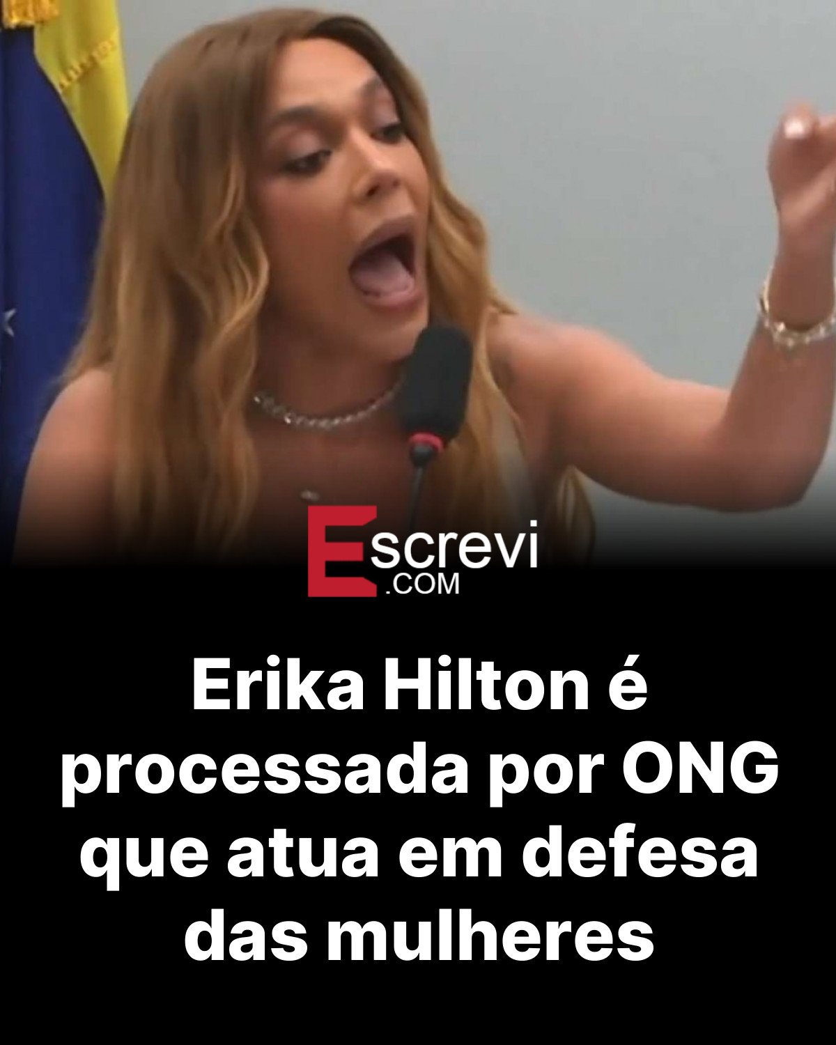 Erika Hilton é processada por ONG que atua em defesa das mulheres card preto