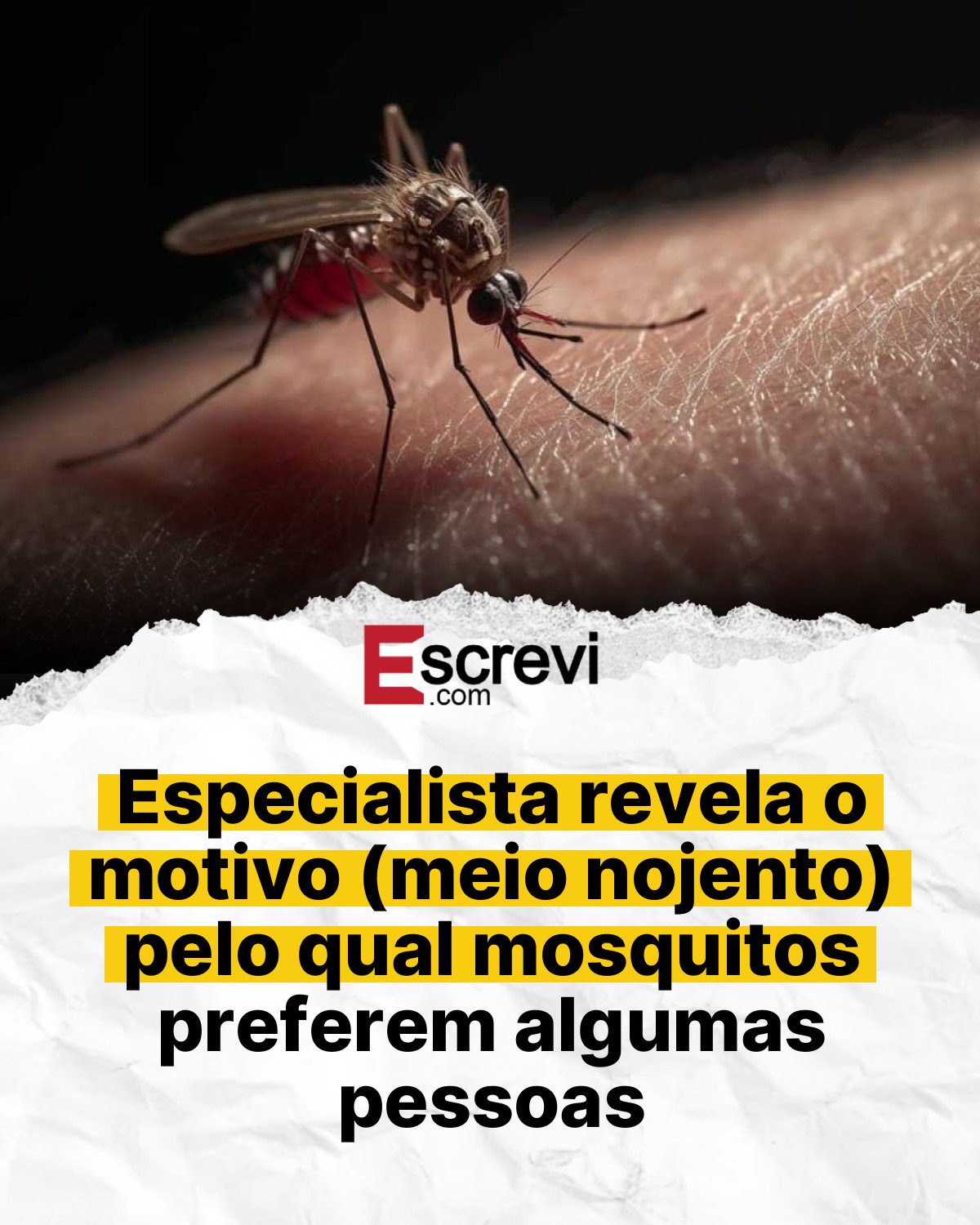 Especialista revela o motivo (meio nojento) pelo qual mosquitos preferem algumas pessoas card branco
