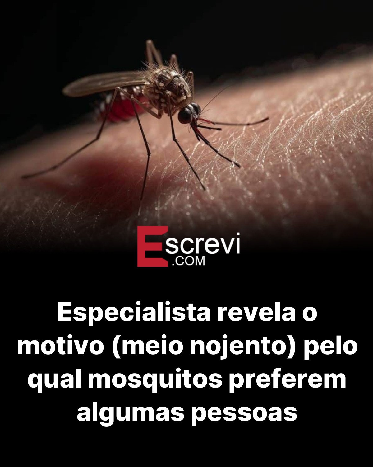 Especialista revela o motivo (meio nojento) pelo qual mosquitos preferem algumas pessoas card preto