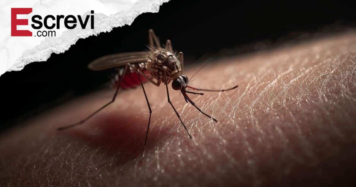 Especialista revela o motivo (meio nojento) pelo qual mosquitos preferem algumas pessoas imagem principal