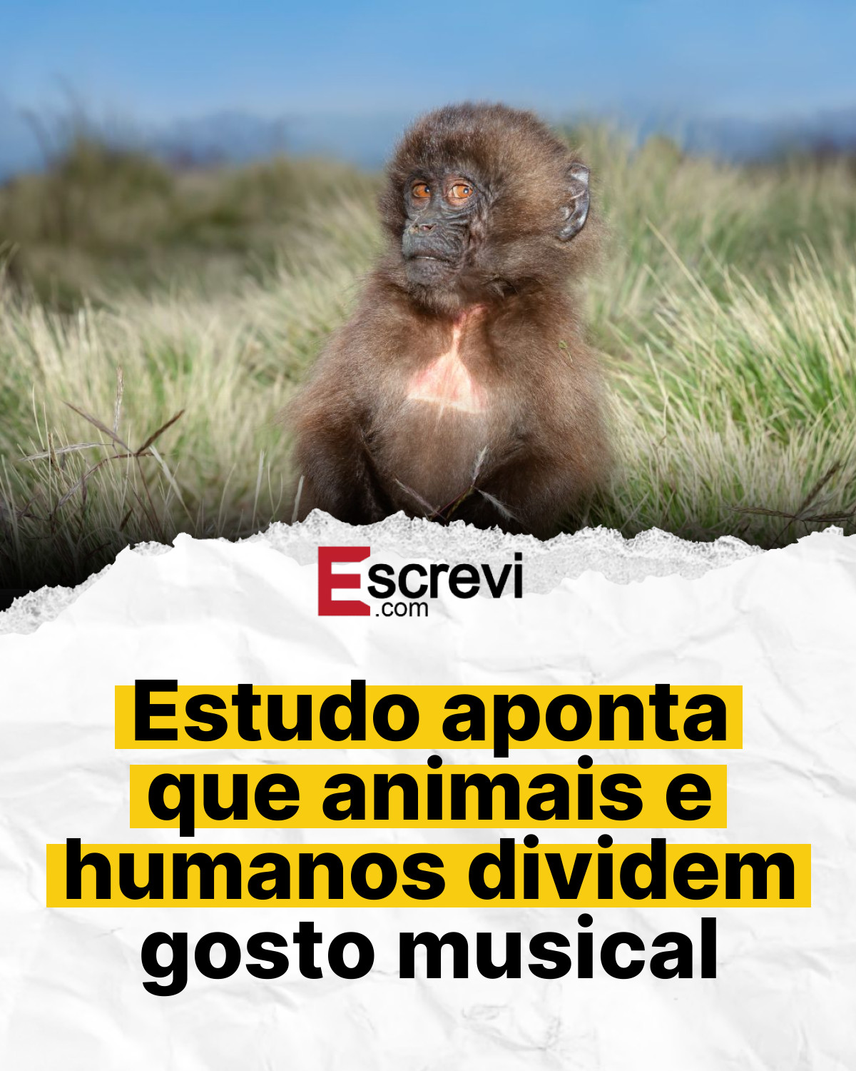 Estudo aponta que animais e humanos dividem gosto musical card branco