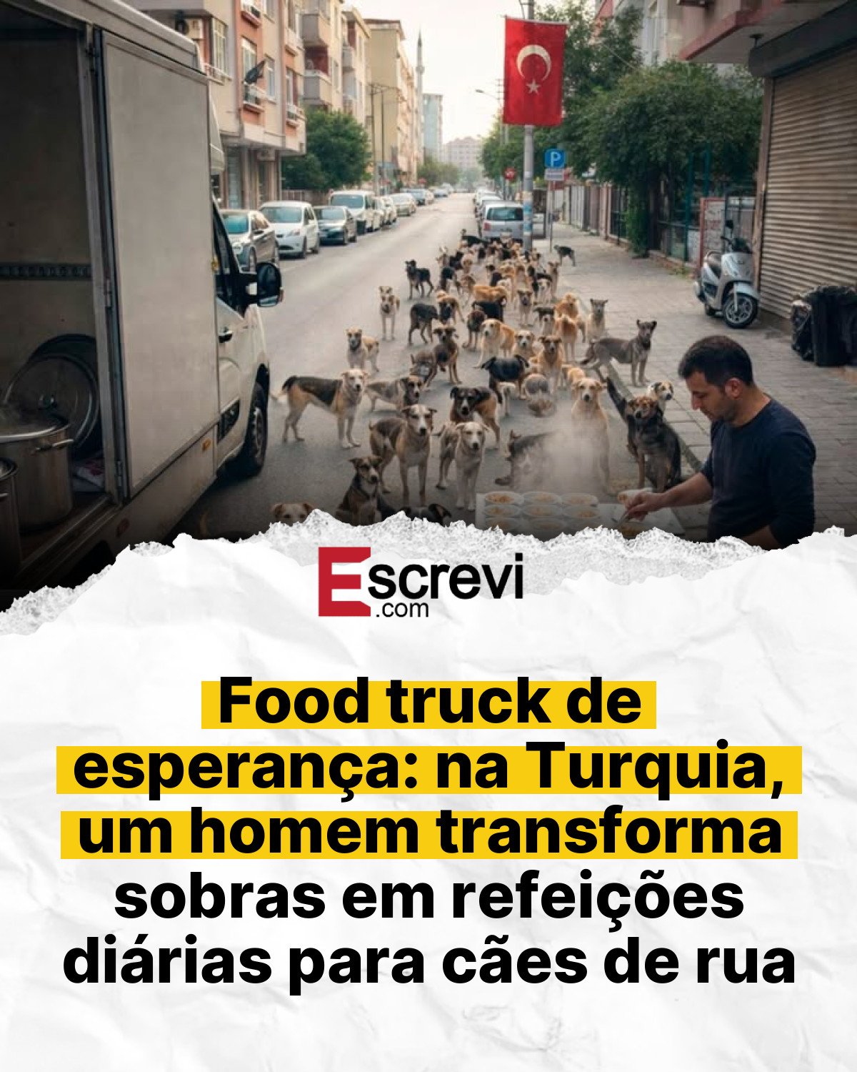 Food truck de esperança: na Turquia, um homem transforma sobras em refeições diárias para cães de rua card branco