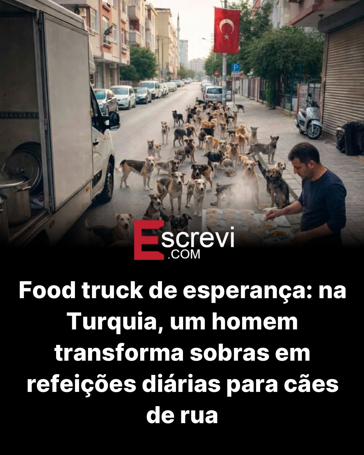 Food truck de esperança: na Turquia, um homem transforma sobras em refeições diárias para cães de rua card preto