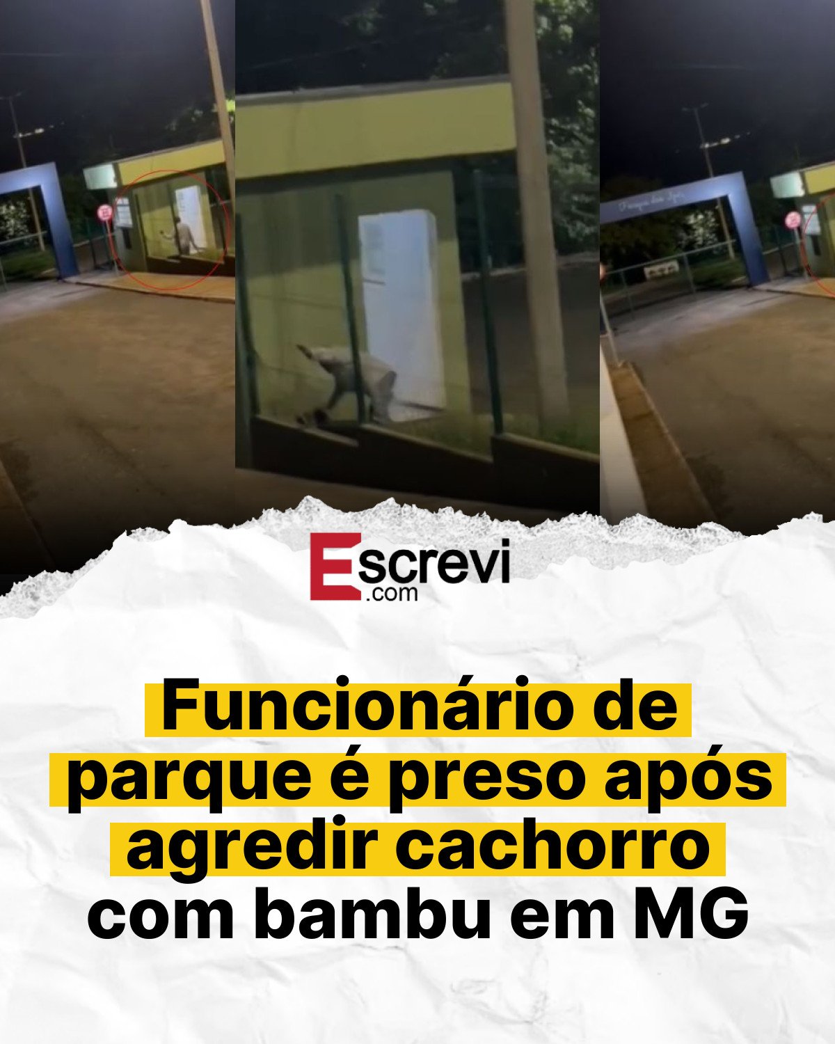 Funcionário de parque é preso após agredir cachorro com bambu em MG card branco