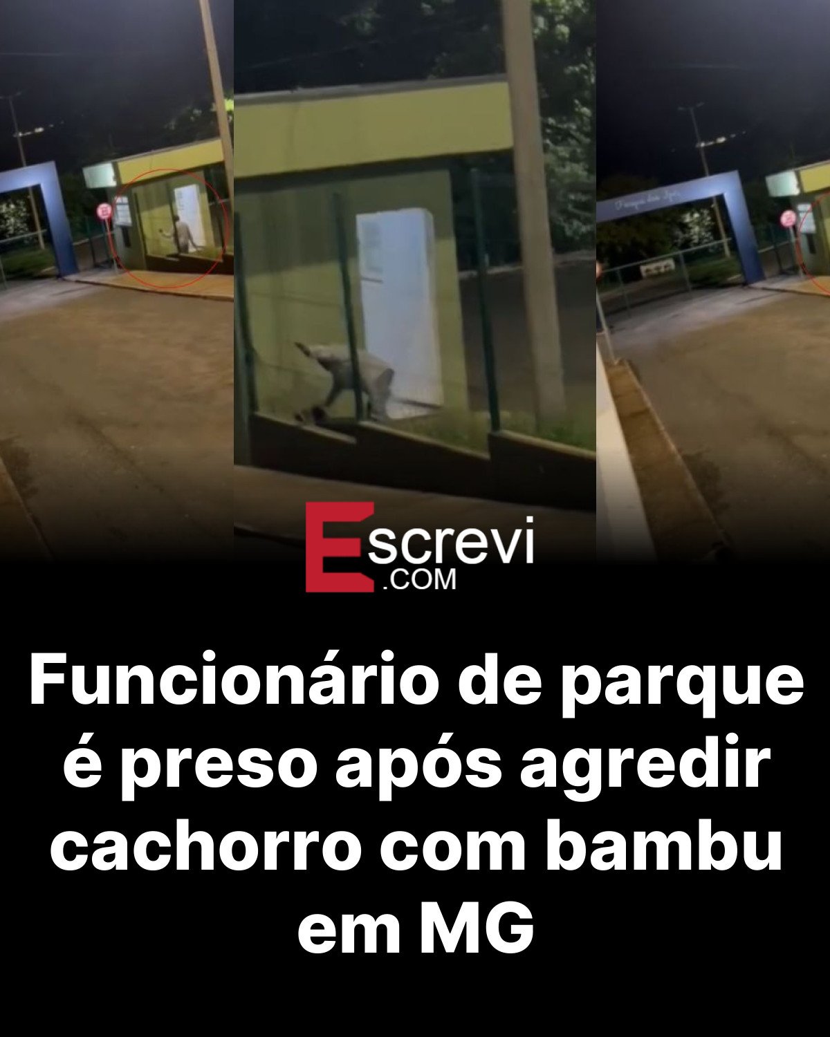 Funcionário de parque é preso após agredir cachorro com bambu em MG card preto