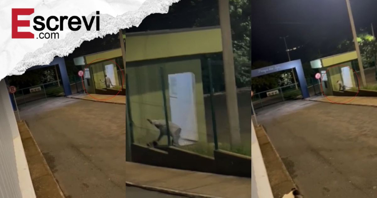 Funcionário de parque é preso após agredir cachorro com bambu em MG imagem principal