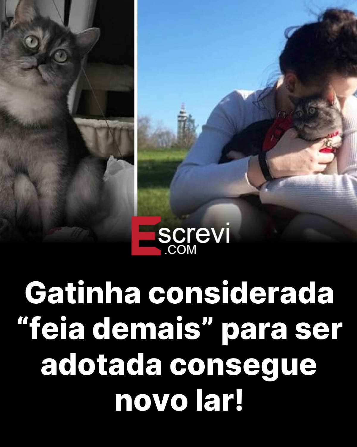 Gatinha considerada “feia demais” para ser adotada consegue novo lar! card preto