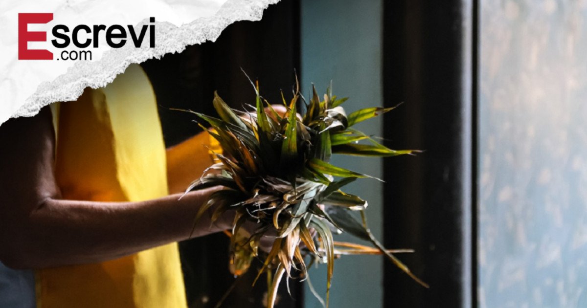 Hoje é Domingo de Ramos? Data marca o início da Semana Santa imagem principal