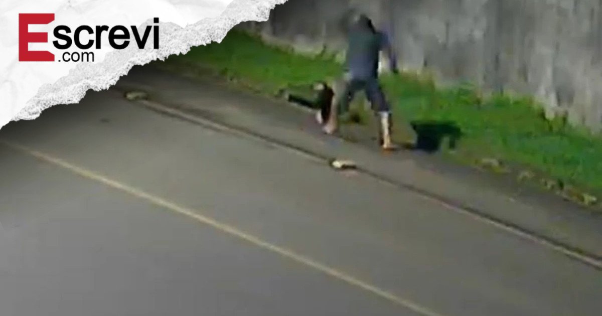 Homem agride tamanduá com pauladas e arrasta animal inconsciente imagem principal