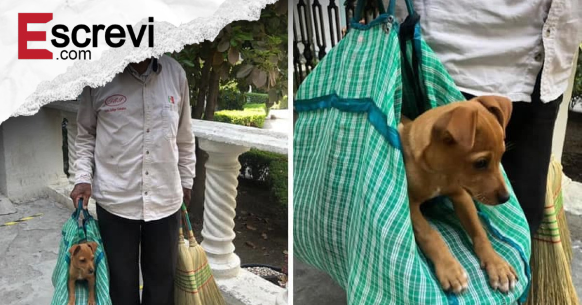 Idoso carrega seu cãozinho numa bolsa, enquanto vende vassouras na rua. São companheiros! imagem principal