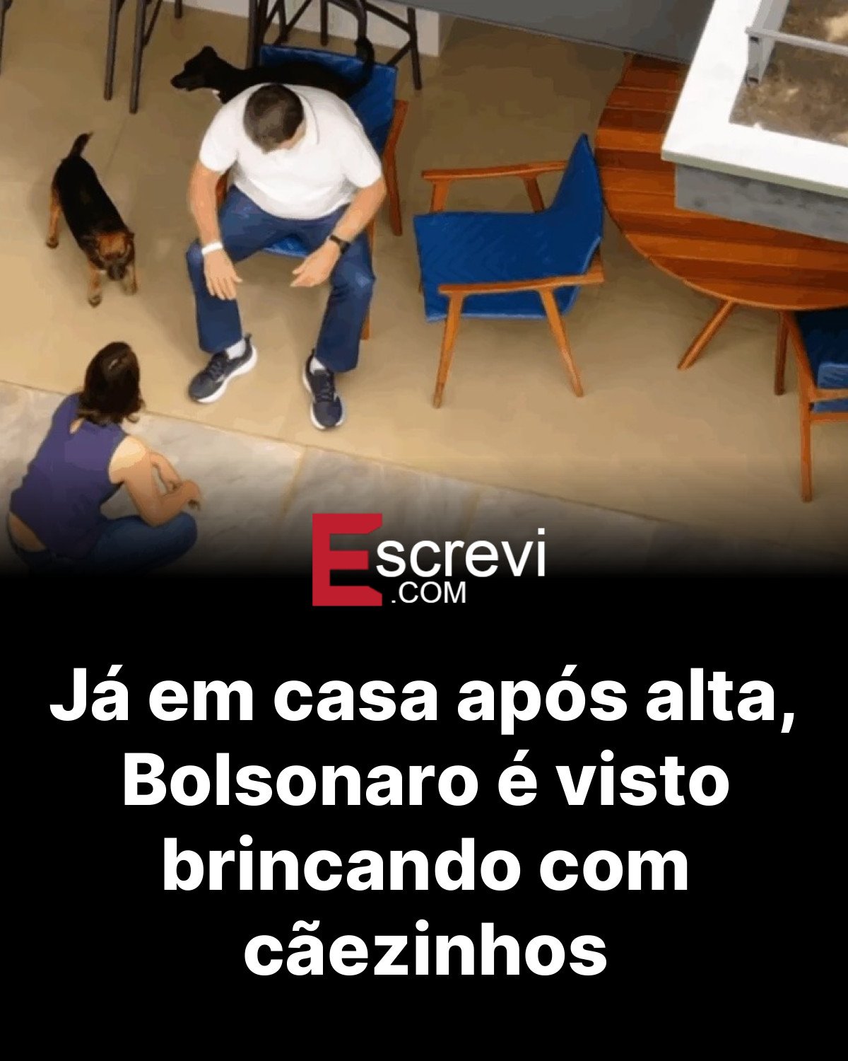 Já em casa após alta, Bolsonaro é visto brincando com cãezinhos card preto