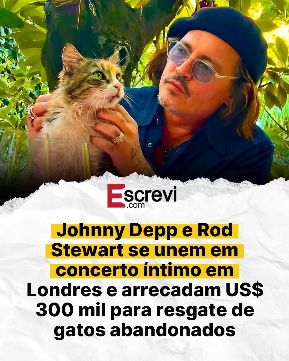 Johnny Depp e Rod Stewart se unem em concerto íntimo em Londres e arrecadam US$ 300 mil para resgate de gatos abandonados card branco