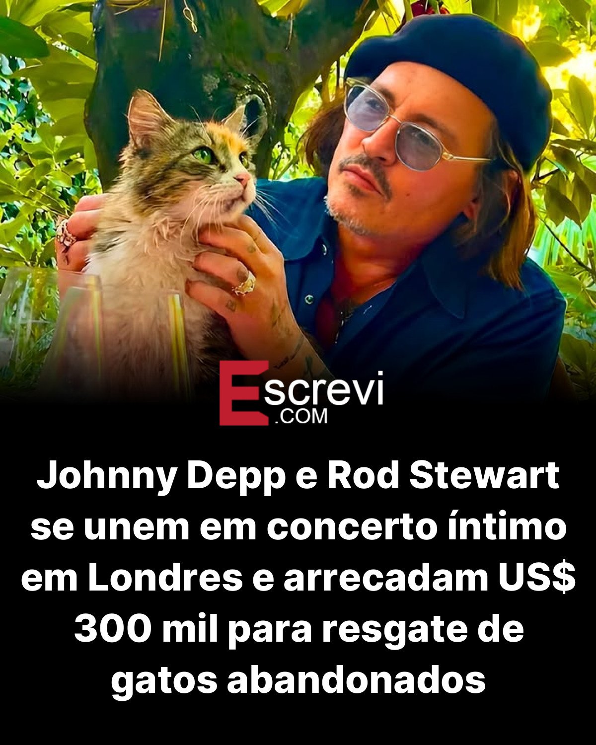 Johnny Depp e Rod Stewart se unem em concerto íntimo em Londres e arrecadam US$ 300 mil para resgate de gatos abandonados card preto