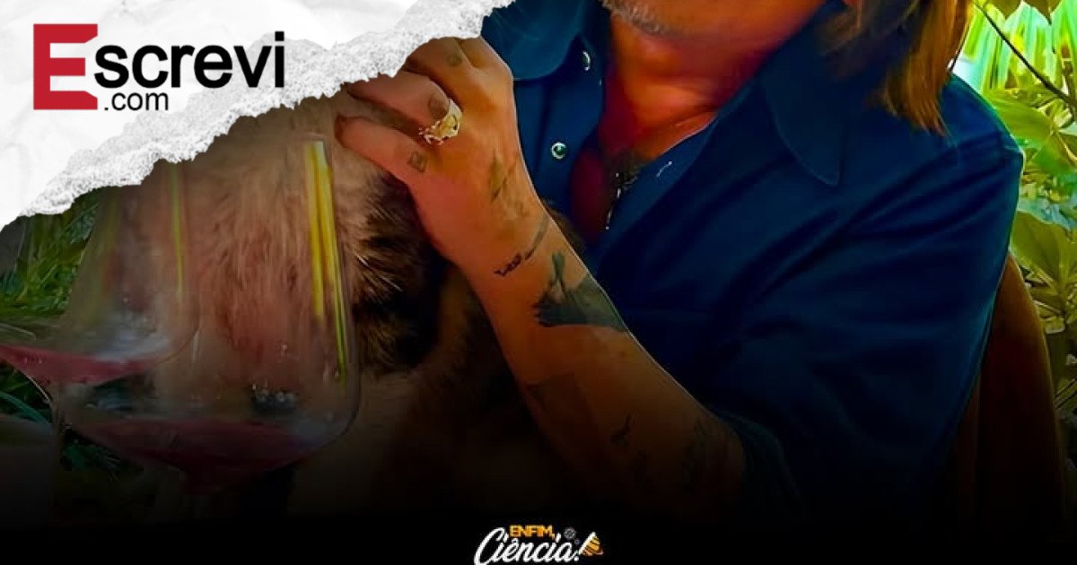 Johnny Depp e Rod Stewart se unem em concerto íntimo em Londres e arrecadam US$ 300 mil para resgate de gatos abandonados imagem principal