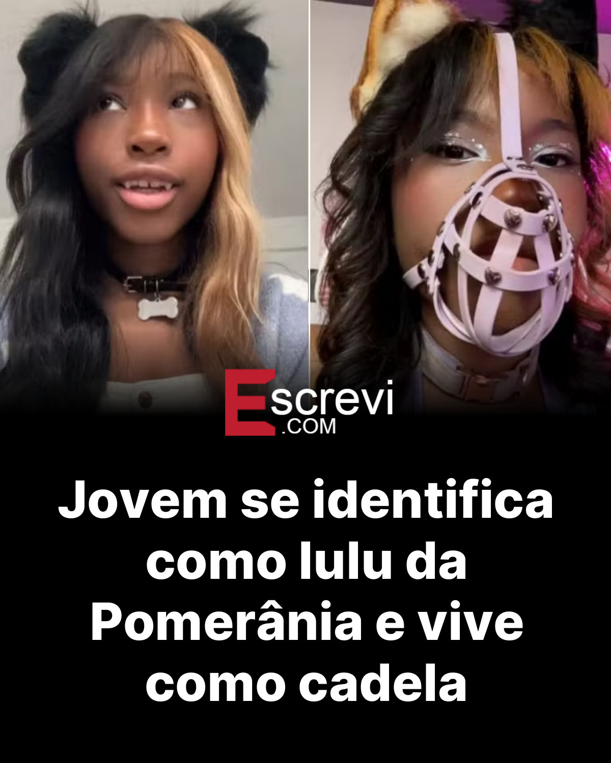 Jovem se identifica como lulu da Pomerânia e vive como cadela card preto