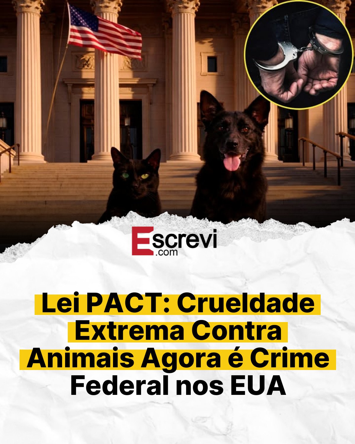 Lei PACT: Crueldade Extrema Contra Animais Agora é Crime Federal nos EUA card branco