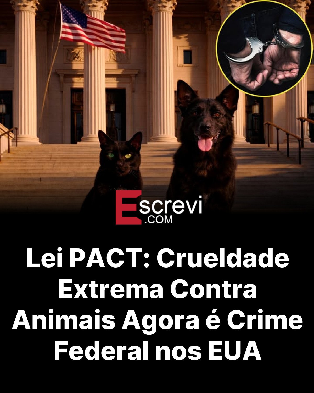 Lei PACT: Crueldade Extrema Contra Animais Agora é Crime Federal nos EUA card preto