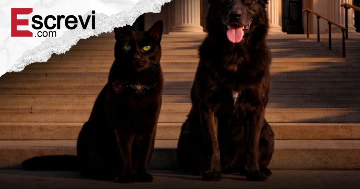 Lei PACT: Crueldade Extrema Contra Animais Agora é Crime Federal nos EUA imagem principal