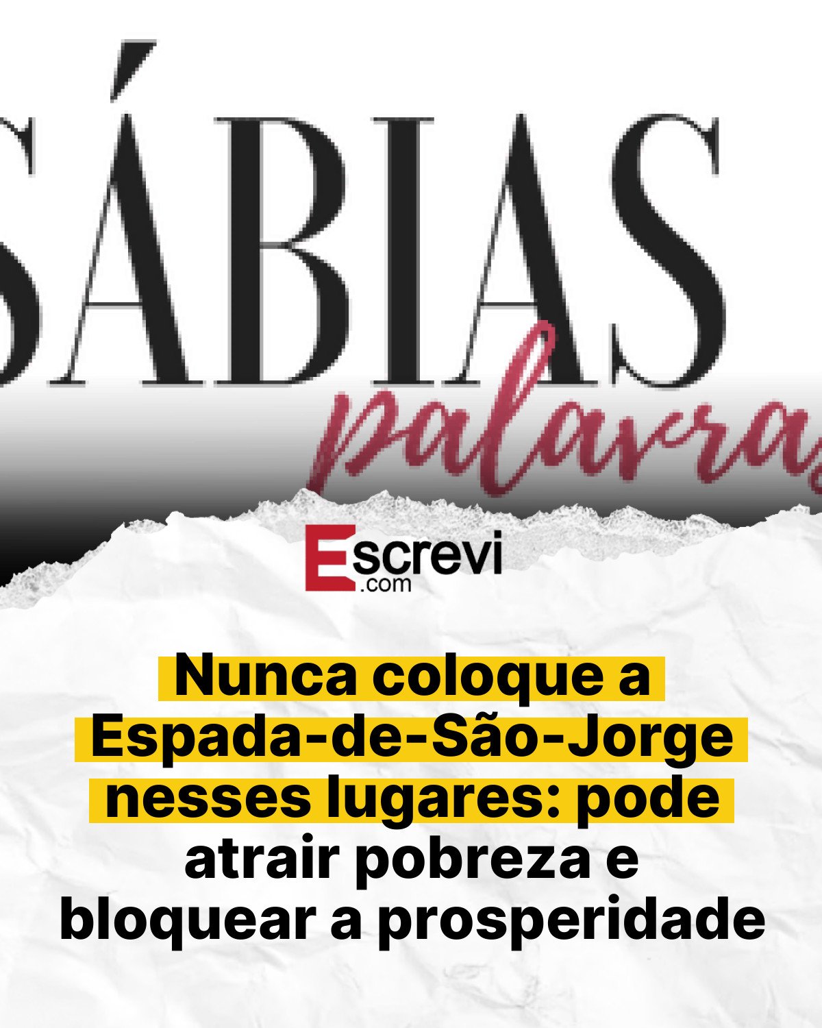 Nunca coloque a Espada-de-São-Jorge nesses lugares: pode atrair pobreza e bloquear a prosperidade card branco