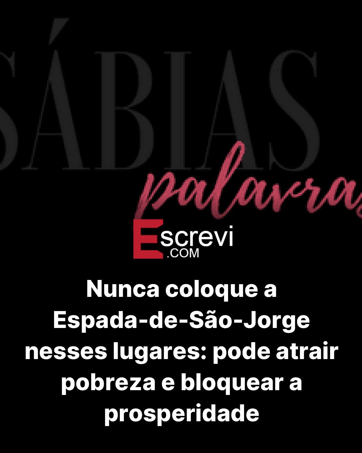 Nunca coloque a Espada-de-São-Jorge nesses lugares: pode atrair pobreza e bloquear a prosperidade card preto