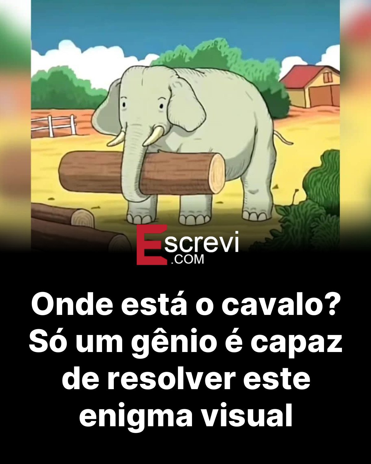 Onde está o cavalo? Só um gênio é capaz de resolver este enigma visual card preto