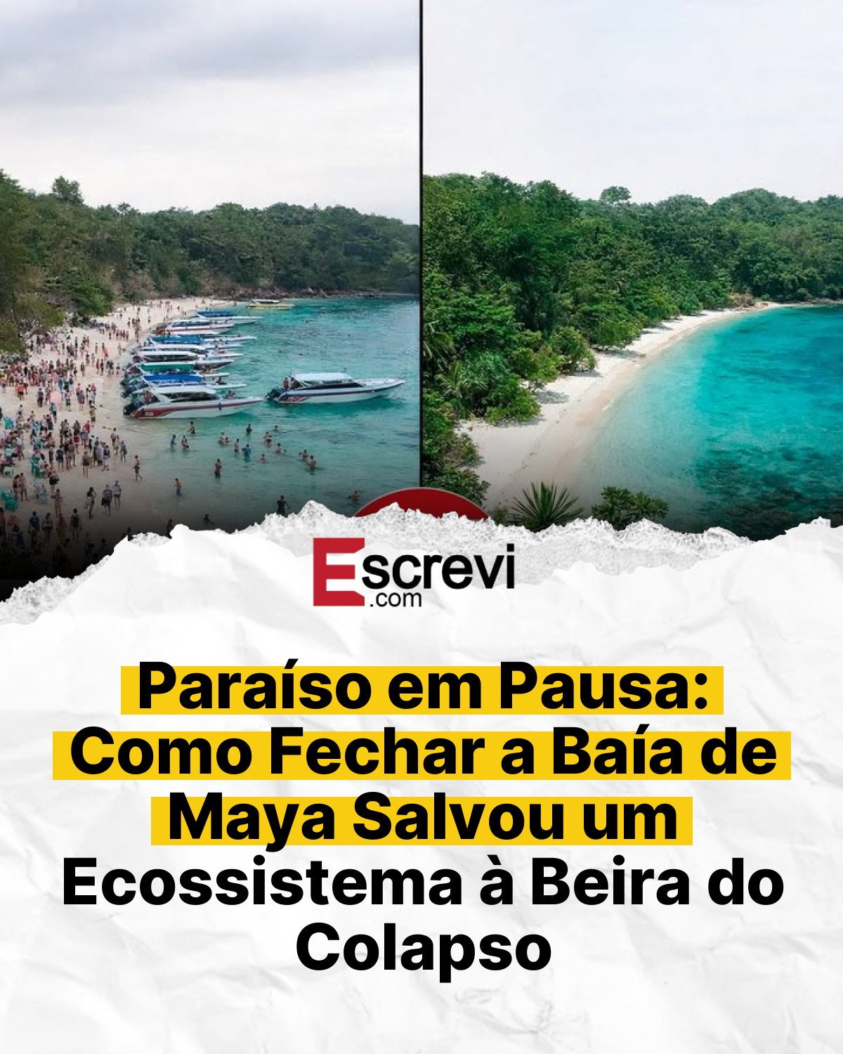 Paraíso em Pausa: Como Fechar a Baía de Maya Salvou um Ecossistema à Beira do Colapso card branco