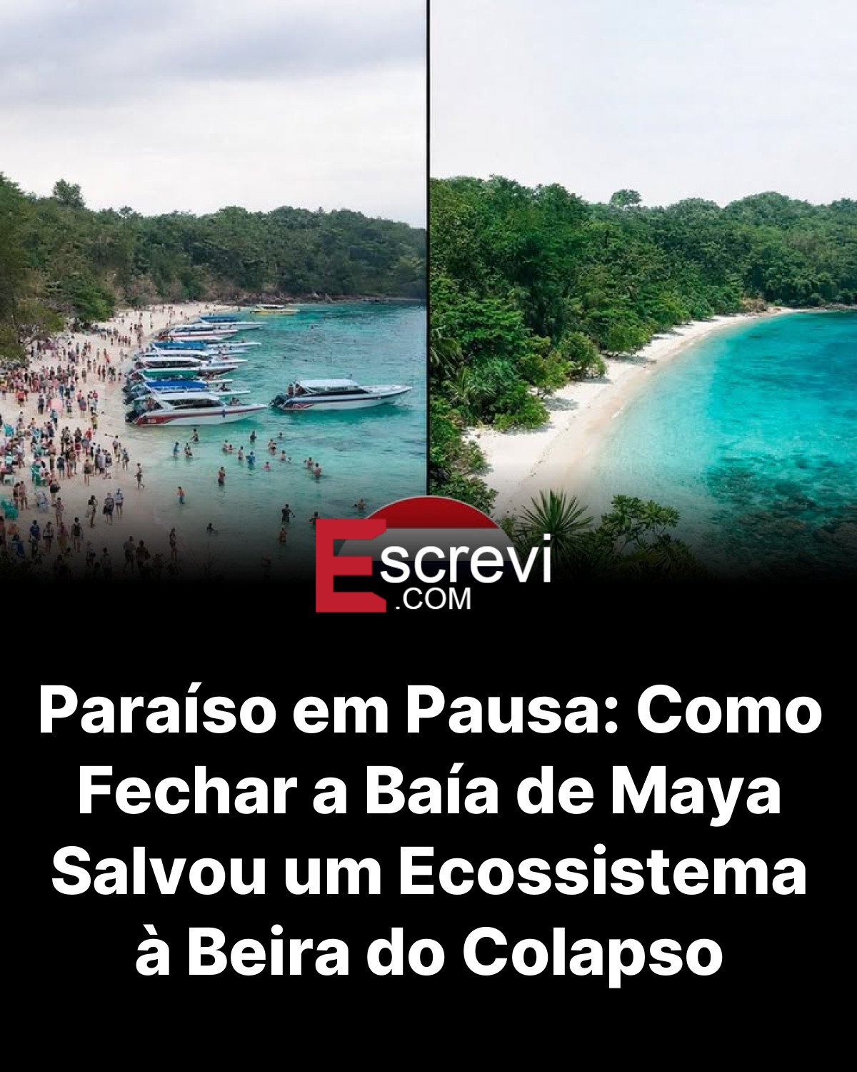Paraíso em Pausa: Como Fechar a Baía de Maya Salvou um Ecossistema à Beira do Colapso card preto