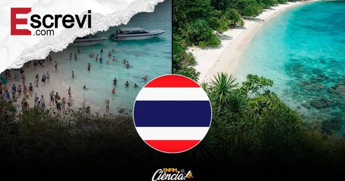 Paraíso em Pausa: Como Fechar a Baía de Maya Salvou um Ecossistema à Beira do Colapso imagem principal