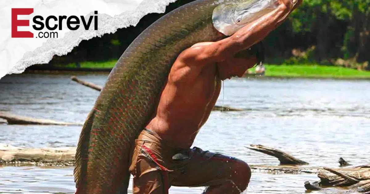 Pirarucu é classificado como invasor e tem pesca liberada no Pantanal imagem principal