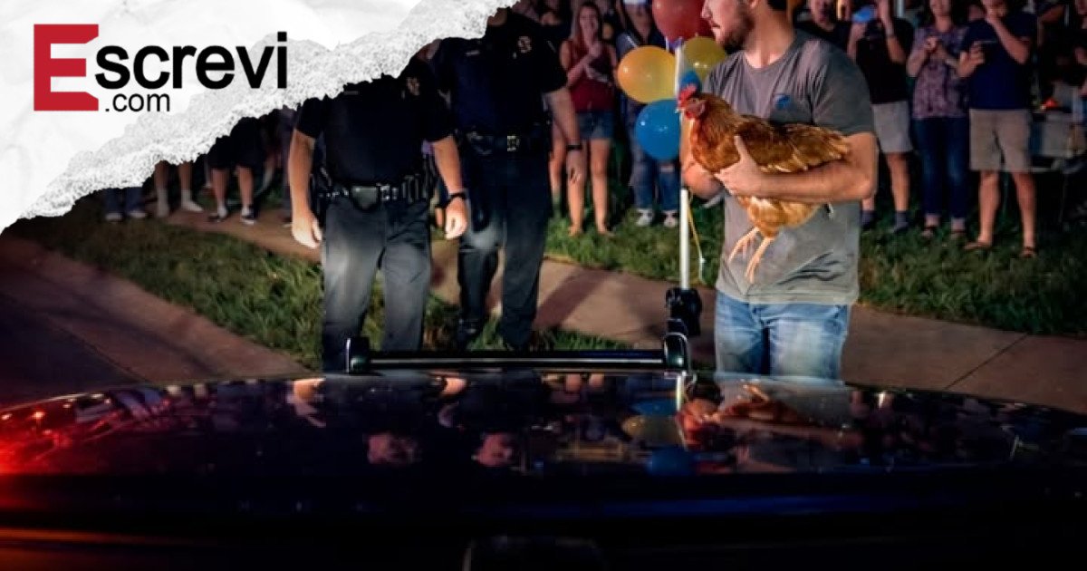 “Polícia é chamada para festa barulhenta e encontra aniversário de galinha com banda, buffet e dezenas de convidados” imagem principal