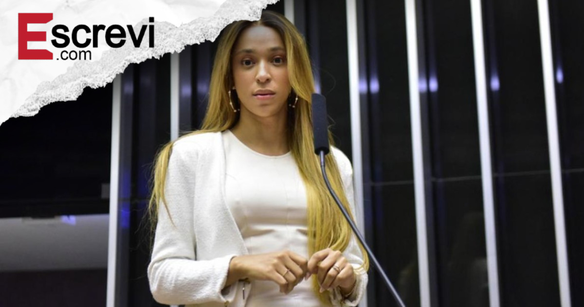 Presidência de Erika na Comissão da Mulher inicia em clima de confronto e acusações imagem principal