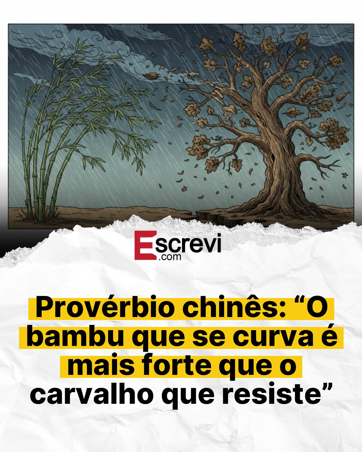 Provérbio chinês: “O bambu que se curva é mais forte que o carvalho que resiste” card branco