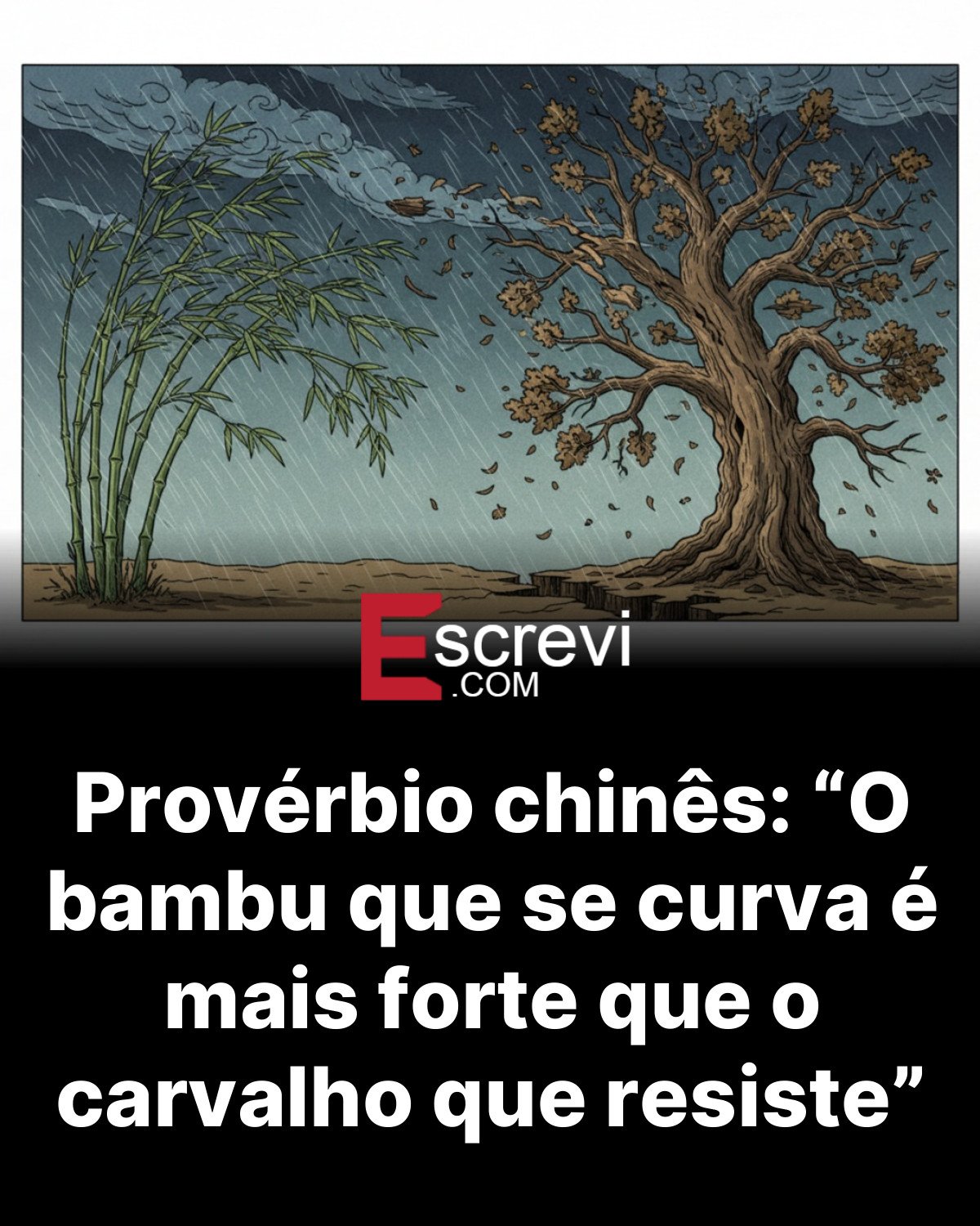 Provérbio chinês: “O bambu que se curva é mais forte que o carvalho que resiste” card preto