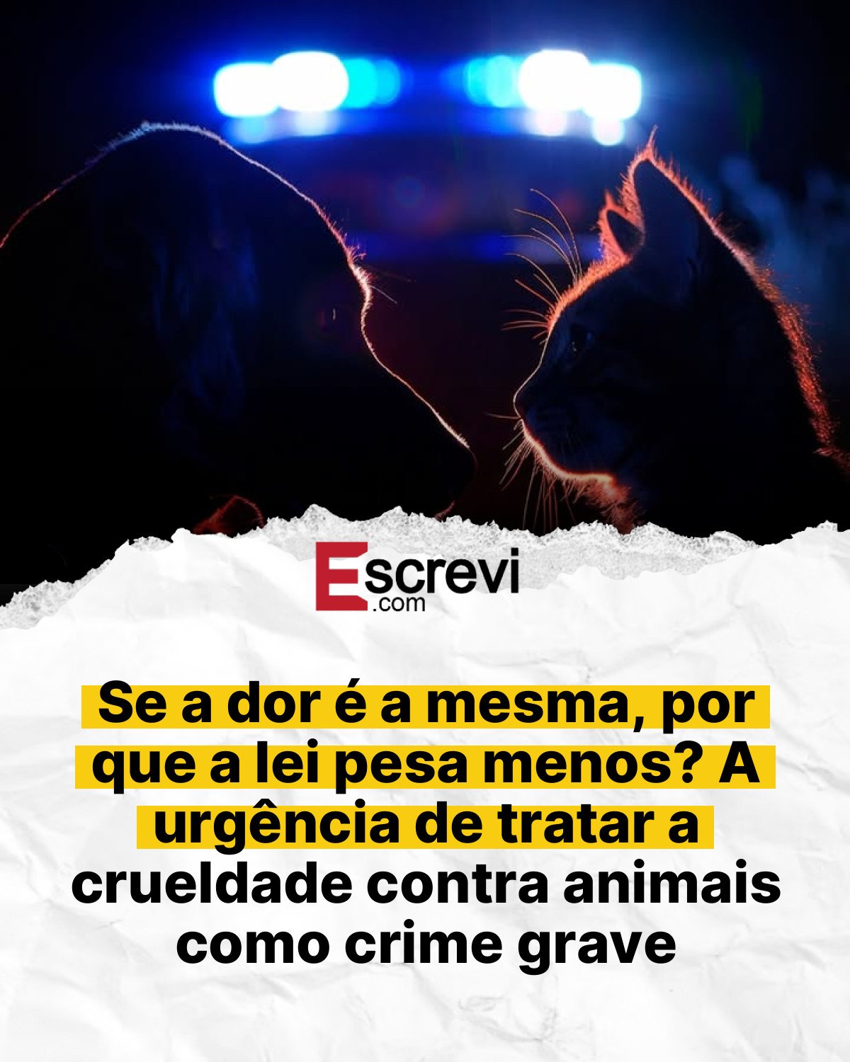 Se a dor é a mesma, por que a lei pesa menos? A urgência de tratar a crueldade contra animais como crime grave card branco