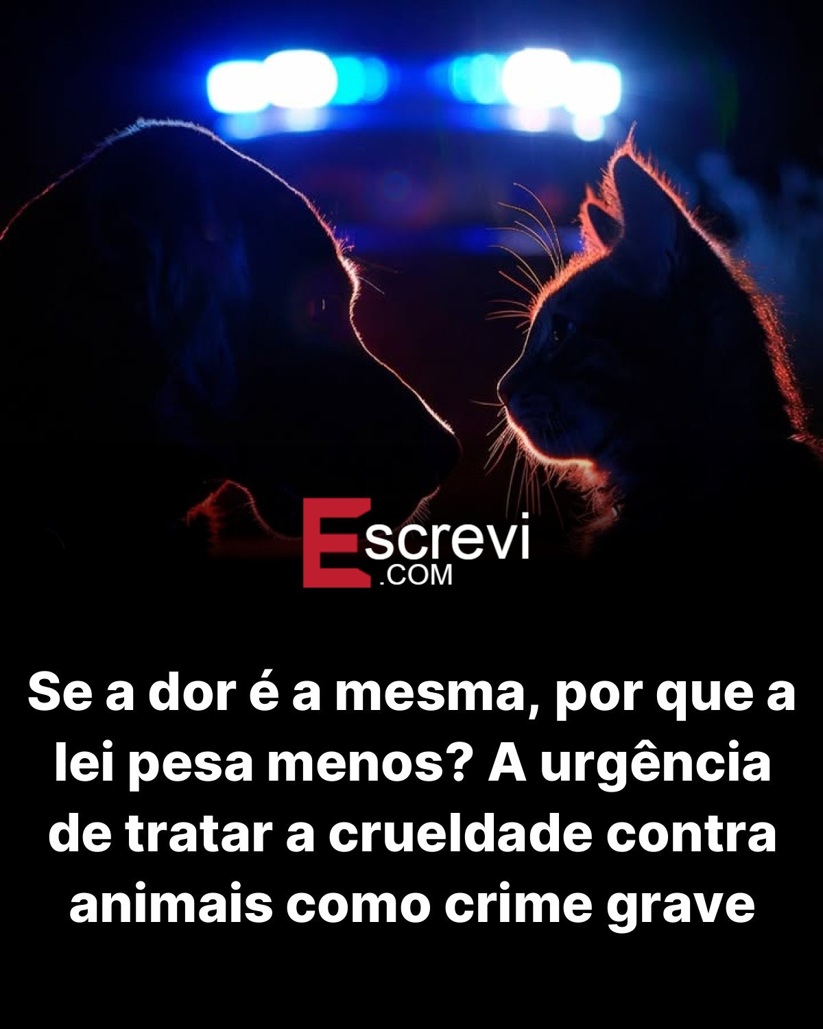 Se a dor é a mesma, por que a lei pesa menos? A urgência de tratar a crueldade contra animais como crime grave card preto