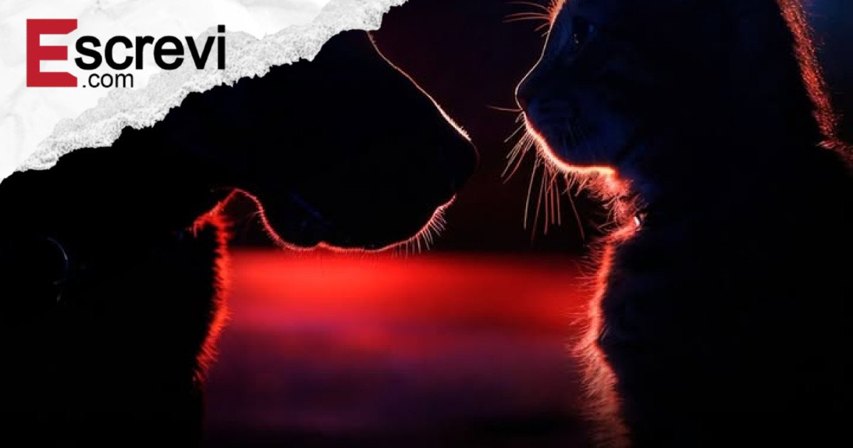 Se a dor é a mesma, por que a lei pesa menos? A urgência de tratar a crueldade contra animais como crime grave imagem principal