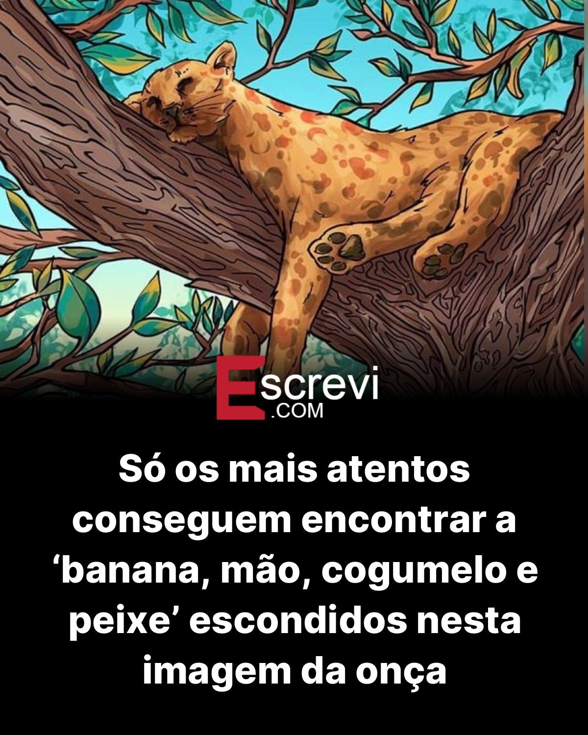 Só os mais atentos conseguem encontrar a ‘banana, mão, cogumelo e peixe’ escondidos nesta imagem da onça card preto