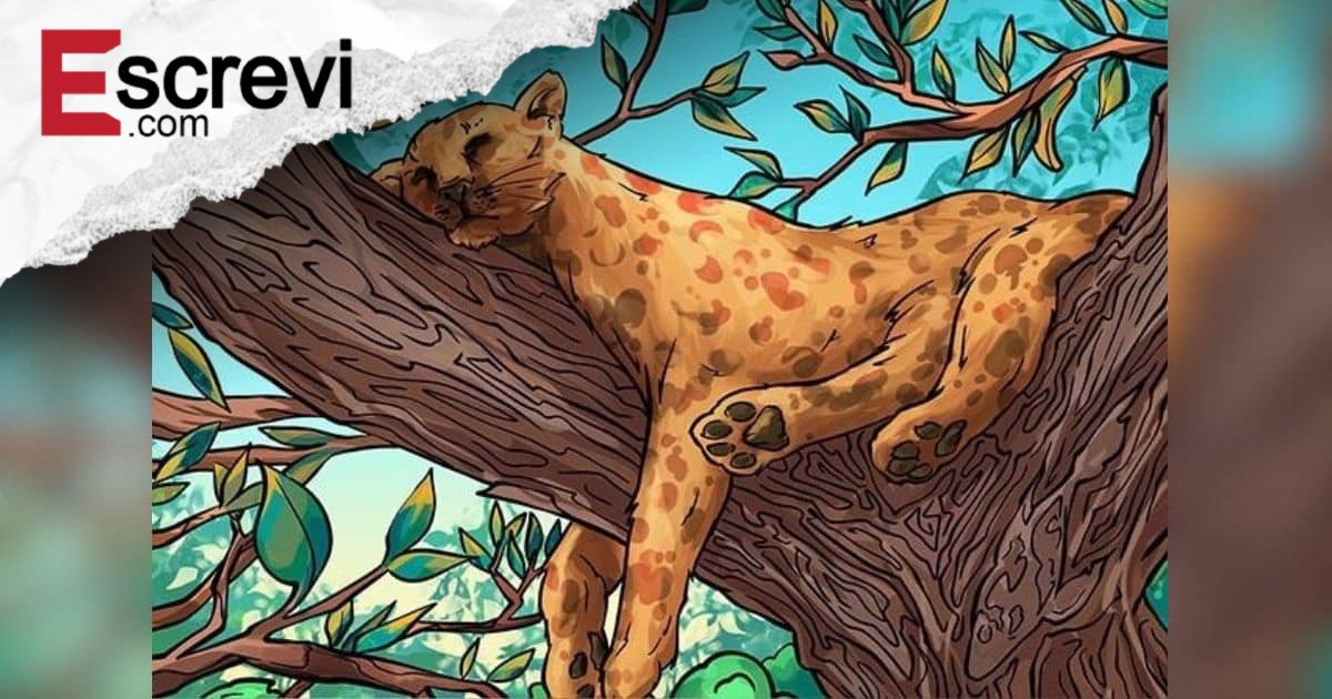 Só os mais atentos conseguem encontrar a ‘banana, mão, cogumelo e peixe’ escondidos nesta imagem da onça imagem principal