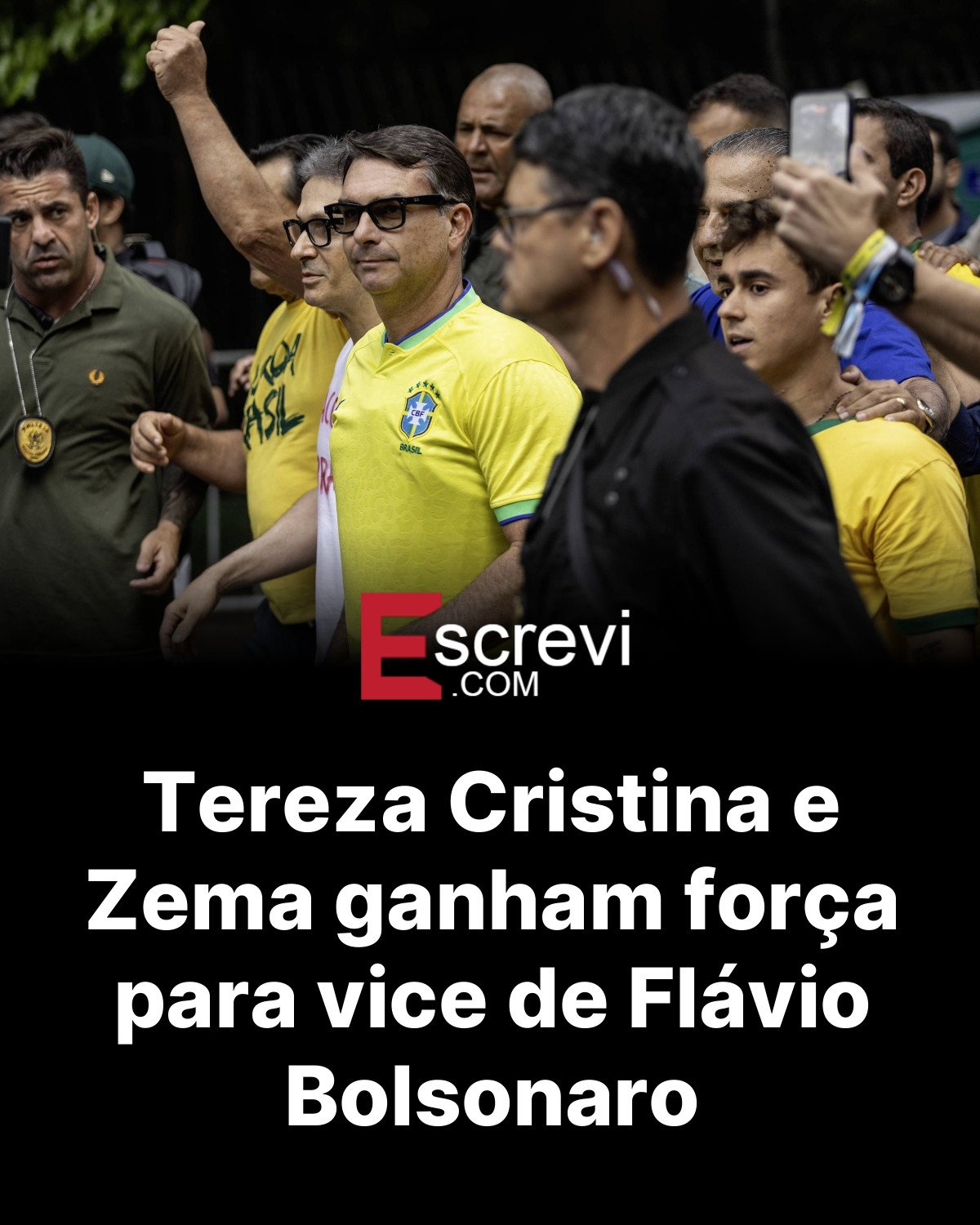 Tereza Cristina e Zema ganham força para vice de Flávio Bolsonaro card preto