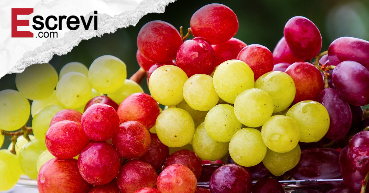 Tipo de uva protege o coração e até melhorar a saúde da pele imagem principal