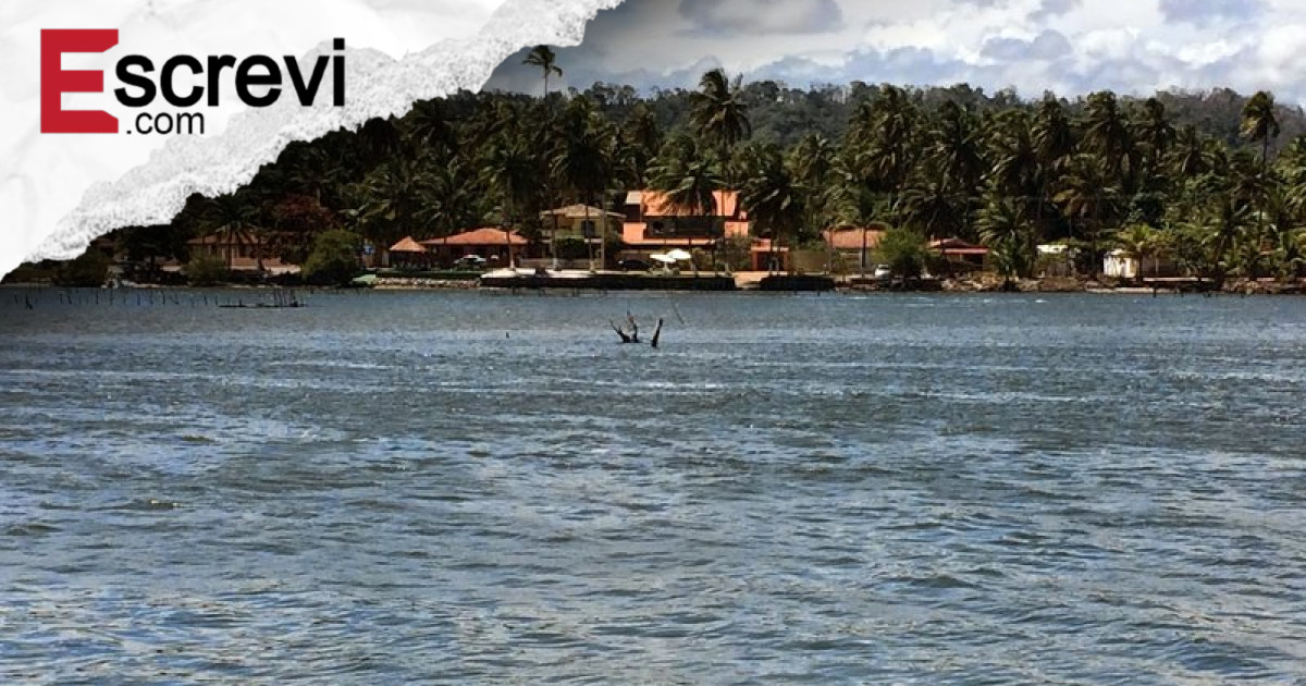 Tragédia nas Águas: Homem Perde a Vida ao Saltar de Catamarã e Ser Vítima de Correnteza Implacável imagem principal