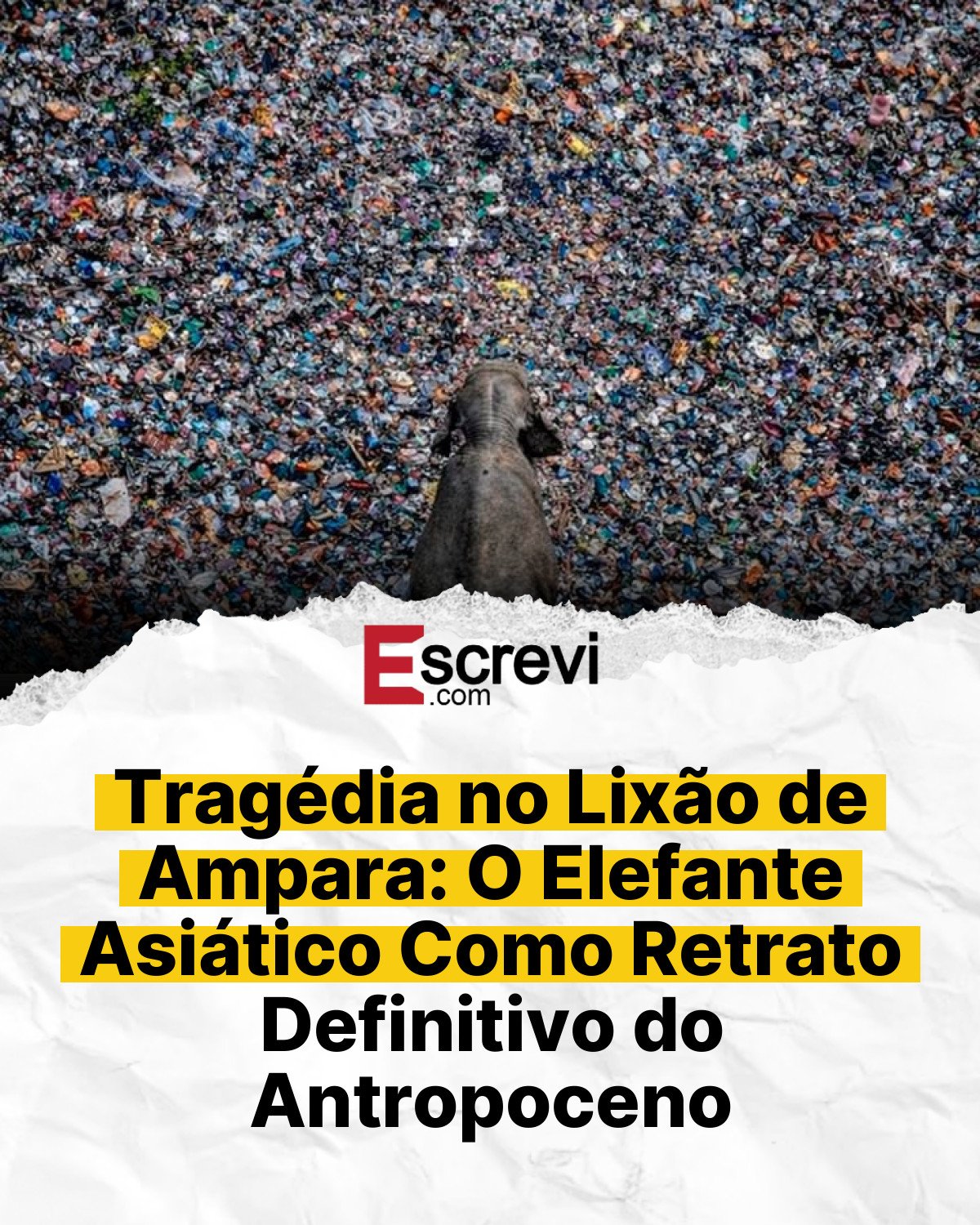 Tragédia no Lixão de Ampara: O Elefante Asiático Como Retrato Definitivo do Antropoceno card branco